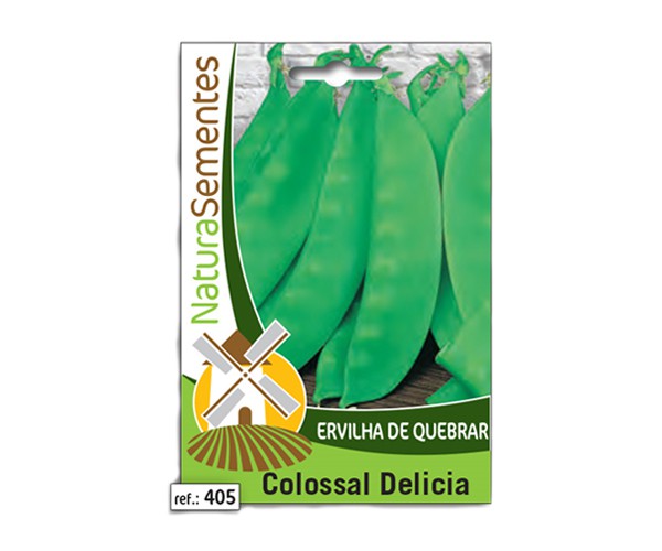 NAT ERVILHA QUEBRAR COLOSSAL DELICIA 100gr (405)