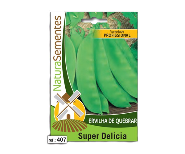 NAT ERVILHA QUEBRAR SUPER DELICIA 100gr (407