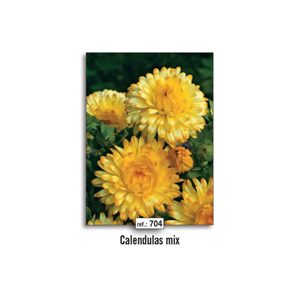 NAT CALENDULAS MIX (704)