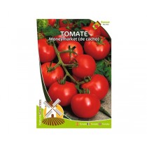 NAT TOMATE MONEYMAKER (DE...