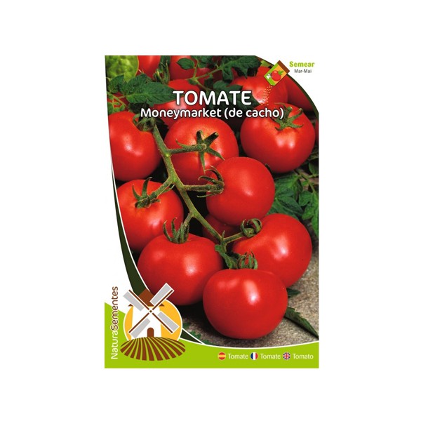 NAT TOMATE MONEYMAKER (DE CACHO) (112)