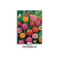 NAT ZINIA POMPOM MIX (746)