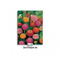 NAT ZINIA POMPOM MIX (746)