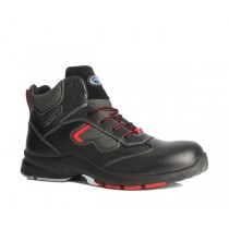 BOTA BIOMASS  Nº 42