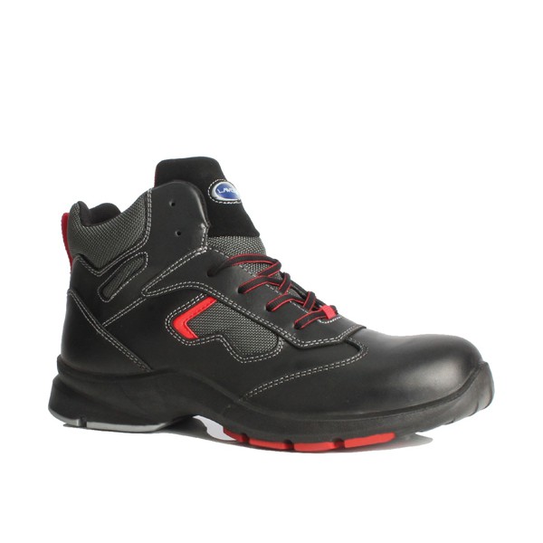 BOTA BIOMASS  Nº 42