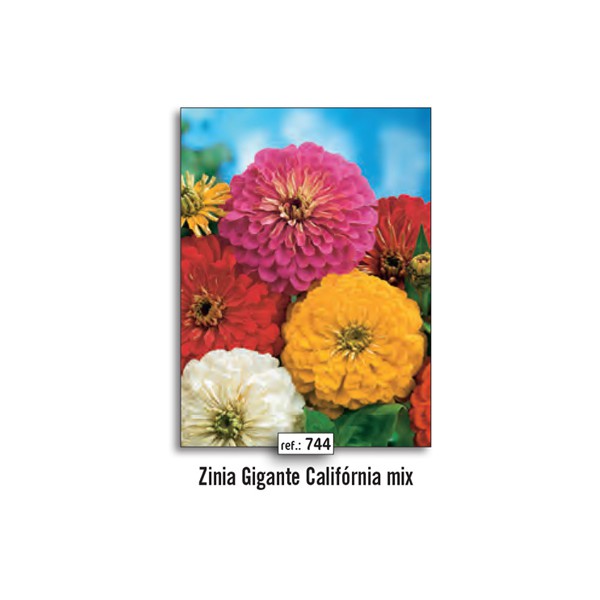 NAT ZINIA GIGANTE CALIFÓRNIA MIX (744)