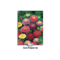 NAT SECIA POMPOM MIX (734)